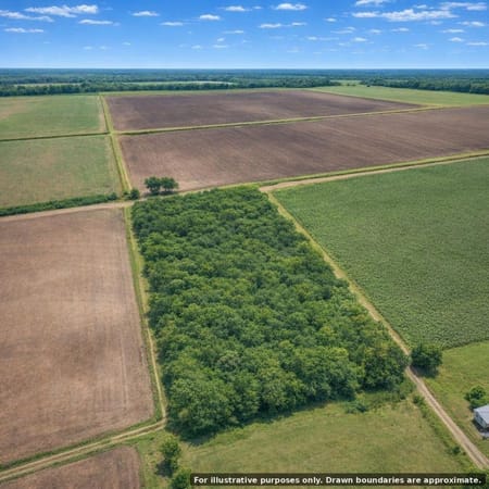 Los Fresnos, TX 78566 Cameron County