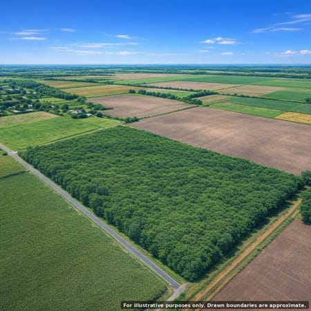 Los Fresnos, TX 78566 Cameron County