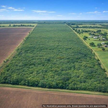 Los Fresnos, TX 78566 Cameron County
