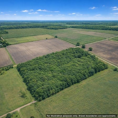 Los Fresnos, TX 78566 Cameron County