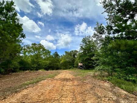 Crockett, TX 75835 Houston County