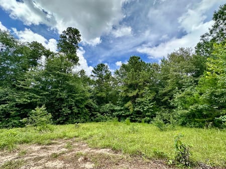 Crockett, TX 75835 Houston County