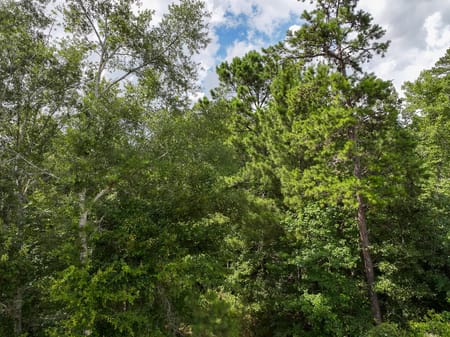 Crockett, TX 75835 Houston County