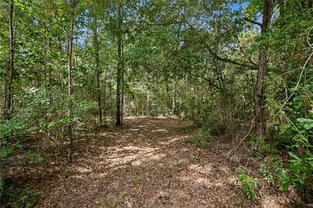 Cleveland, TX 77328 San Jacinto County