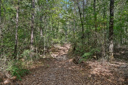 Cleveland, TX 77328 San Jacinto County