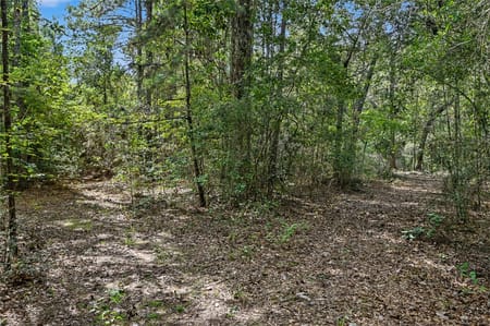 Cleveland, TX 77328 San Jacinto County