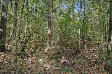 Cleveland, TX 77328 San Jacinto County