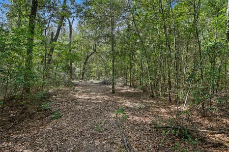 Cleveland, TX 77328 San Jacinto County