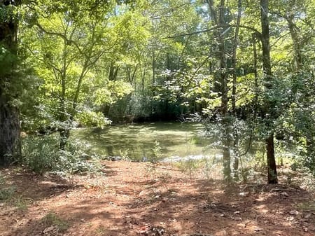 Nacogdoches, TX 75961 Nacogdoches County