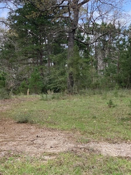 Kirbyville, TX 75956 Jasper County