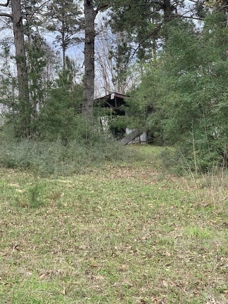 Kirbyville, TX 75956 Jasper County