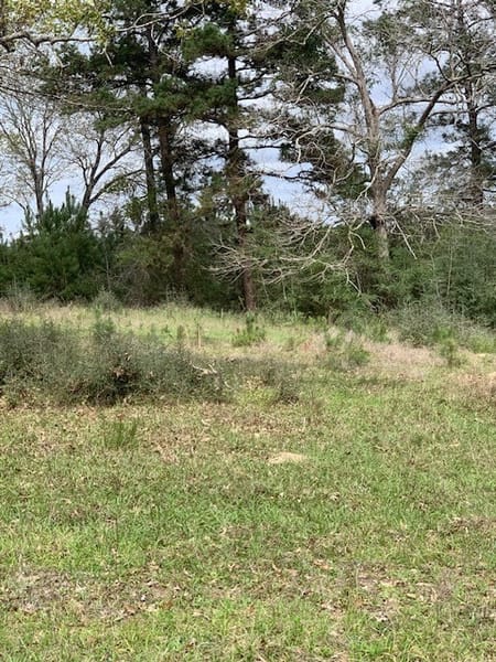 Kirbyville, TX 75956 Jasper County
