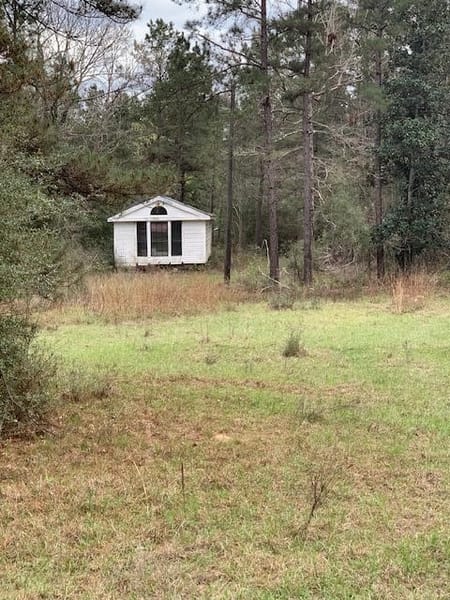 Kirbyville, TX 75956 Jasper County