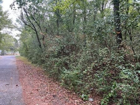 Kirbyville, TX 75951 Jasper County