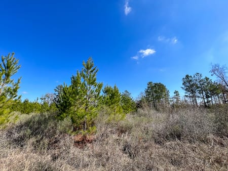 Huntsville, TX 77320 Walker County