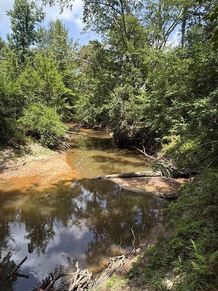 Kirbyville, TX 75928 Newton County
