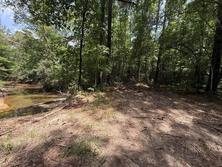 Kirbyville, TX 75928 Newton County