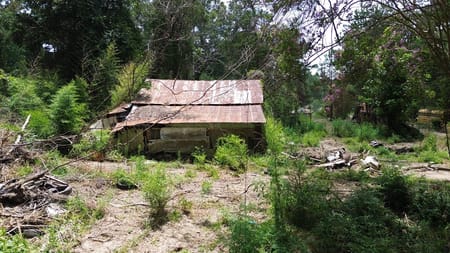 Kirbyville, TX 75928 Newton County