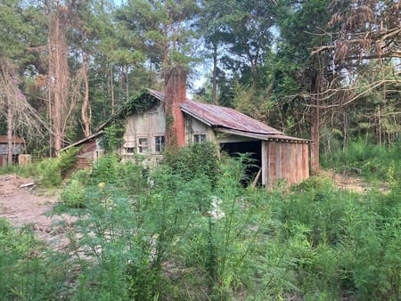Kirbyville, TX 75928 Newton County