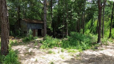 Kirbyville, TX 75928 Newton County