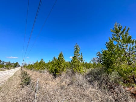 Huntsville, TX 77320 Walker County