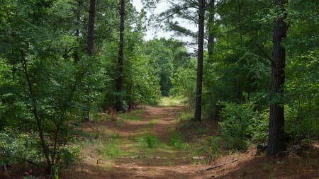 Ben Wheeler, TX 75754 Van Zandt County