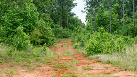 Ben Wheeler, TX 75754 Van Zandt County