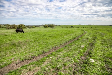 Brenham, TX 77833 Washington County