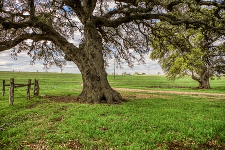 Brenham, TX 77833 Washington County
