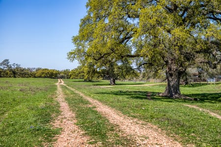 Brenham, TX 77833 Washington County