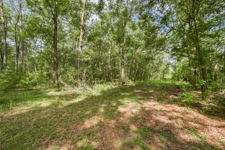 Dayton, TX 77535 Liberty County