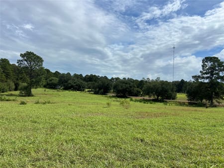 Woodville, TX 77624 Tyler County