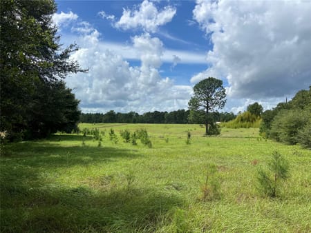 Woodville, TX 77624 Tyler County