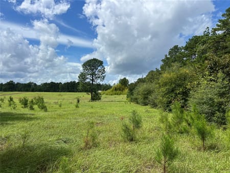 Woodville, TX 77624 Tyler County