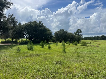 Woodville, TX 77624 Tyler County