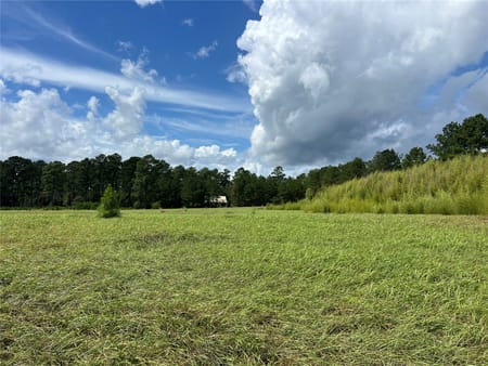 Woodville, TX 77624 Tyler County