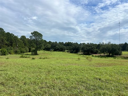 Woodville, TX 77624 Tyler County