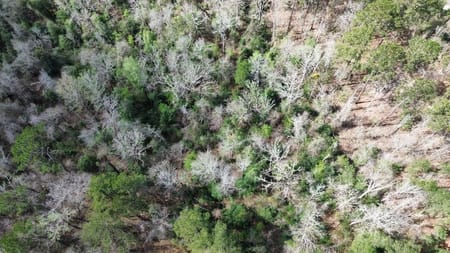 Bon Wier, TX 75928 Newton County
