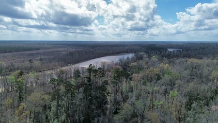 Bon Wier, TX 75928 Newton County