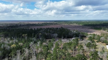 Bon Wier, TX 75928 Newton County