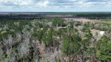 Bon Wier, TX 75928 Newton County