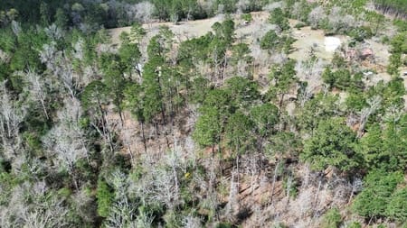 Bon Wier, TX 75928 Newton County