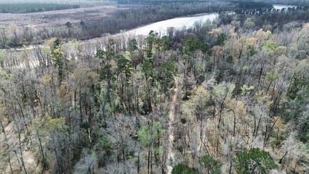 Bon Wier, TX 75928 Newton County