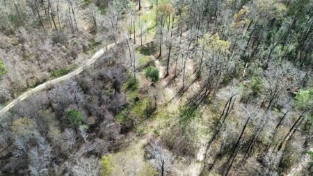 Bon Wier, TX 75928 Newton County