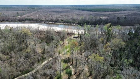 Bon Wier, TX 75928 Newton County