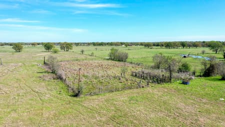 Madisonville, TX 77864 Madison County
