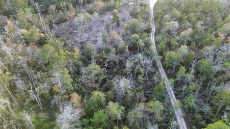 Kirbyville, TX 75956 Newton County