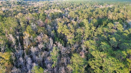 Kirbyville, TX 75956 Newton County