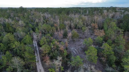 Kirbyville, TX 75956 Newton County