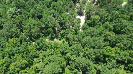 Bon Wier, TX 75928 Newton County